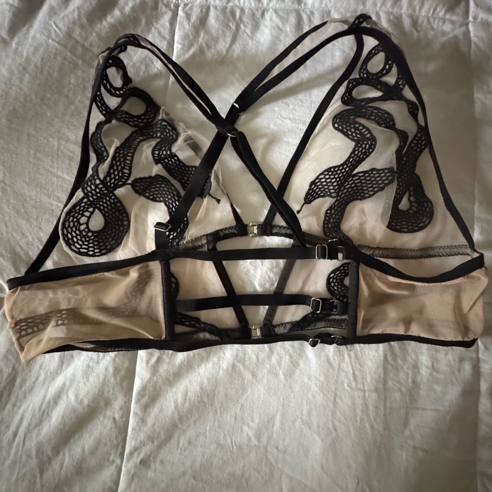 Thistle and Spire Elegant Black Sheer Bralette XL - Picture 3 of 7